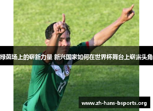 绿茵场上的崭新力量 新兴国家如何在世界杯舞台上崭露头角 绿茵场上的崭新力量 新兴国家如何在世界杯舞台上崭露头角