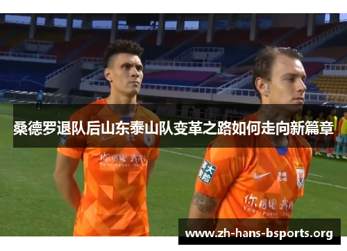 桑德罗退队后山东泰山队变革之路如何走向新篇章 桑德罗退队后山东泰山队变革之路如何走向新篇章