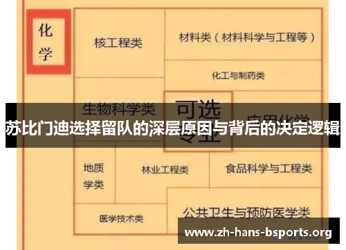 苏比门迪选择留队的深层原因与背后的决定逻辑 苏比门迪选择留队的深层原因与背后的决定逻辑