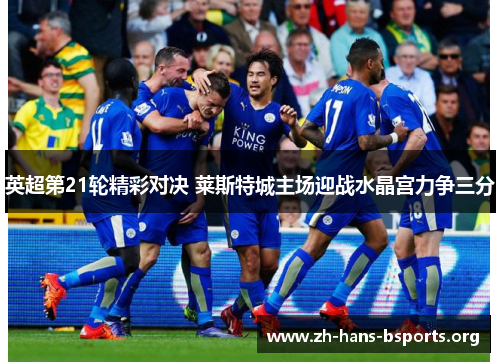 英超第21轮精彩对决 莱斯特城主场迎战水晶宫力争三分 英超第21轮精彩对决 莱斯特城主场迎战水晶宫力争三分