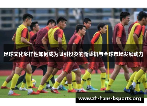 足球文化多样性如何成为吸引投资的新契机与全球市场发展动力 足球文化多样性如何成为吸引投资的新契机与全球市场发展动力